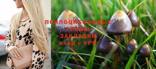 метадон Покачи