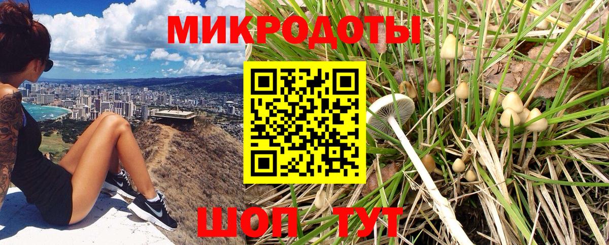 Галлюциногенные грибы мицелий Сафоново