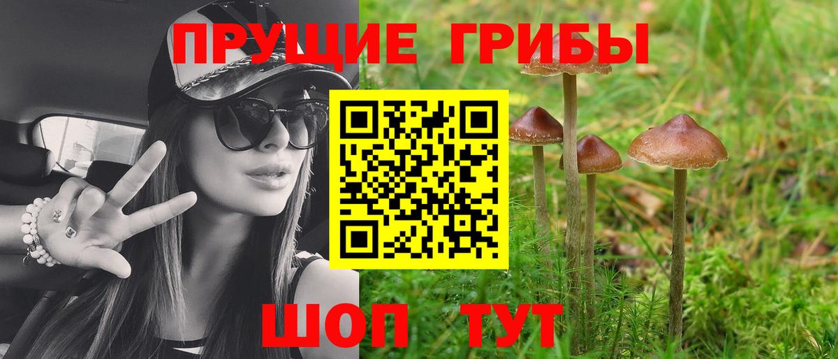 Псилоцибиновые грибы Psilocybine cubensis  Вход с VPN  Сафоново 