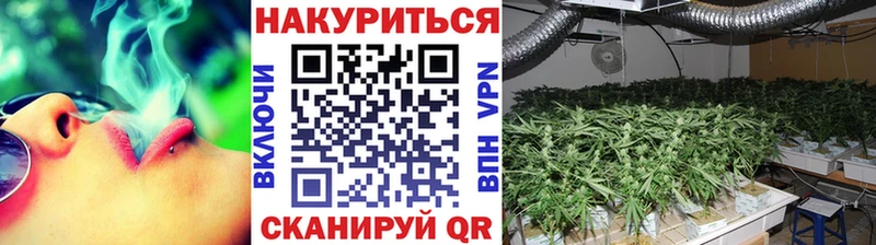 МАРИХУАНА планчик  наркотики  Сафоново 